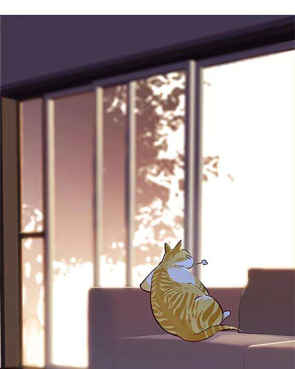 觉醒吧，铲屎官！7话