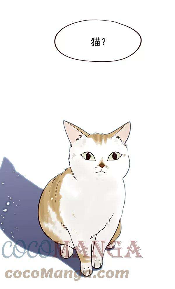 觉醒吧，铲屎官！7话