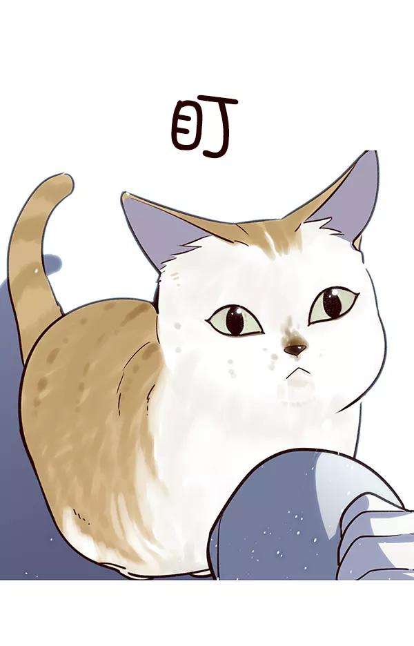 觉醒吧，铲屎官！7话