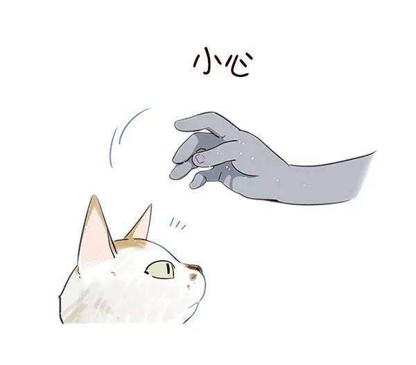 觉醒吧，铲屎官！7话