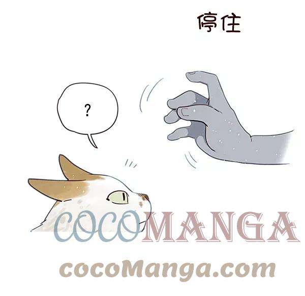 觉醒吧，铲屎官！7话