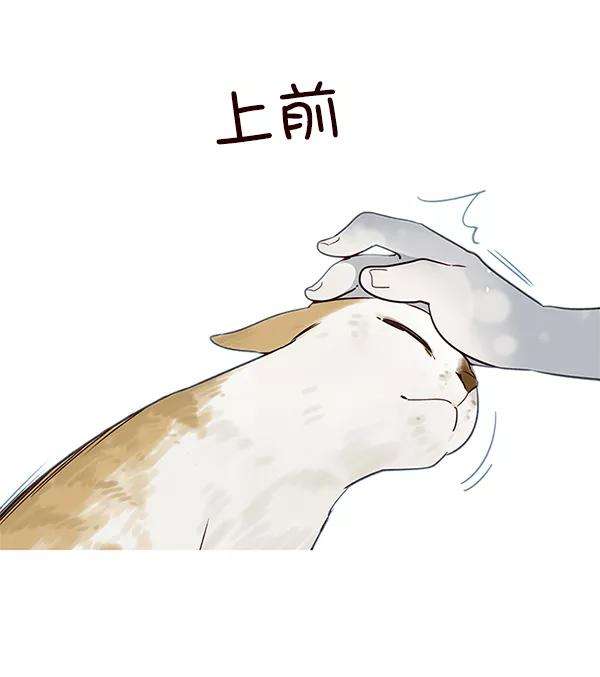 觉醒吧，铲屎官！7话