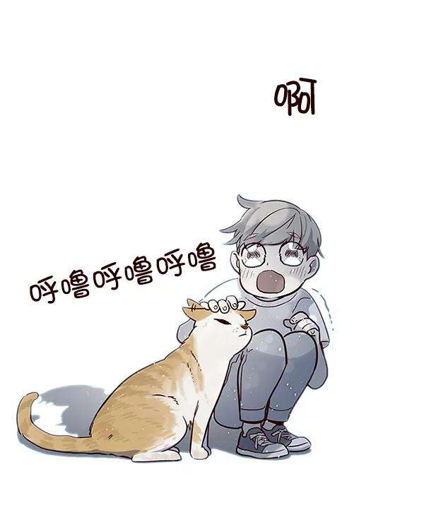 觉醒吧，铲屎官！7话