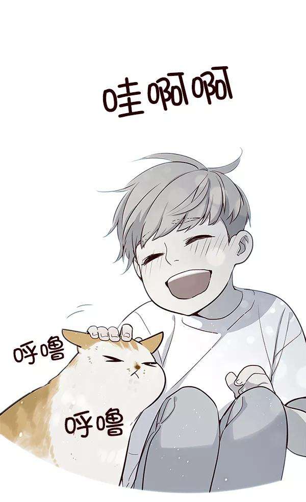 觉醒吧，铲屎官！7话