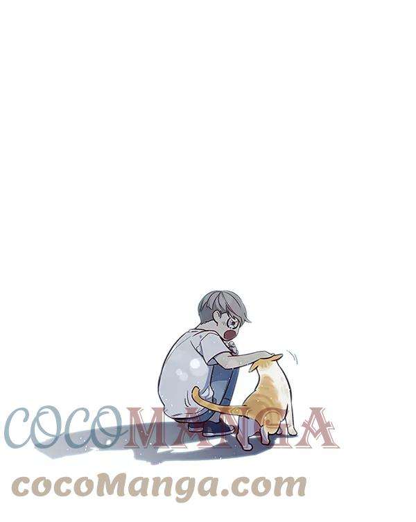 觉醒吧，铲屎官！7话