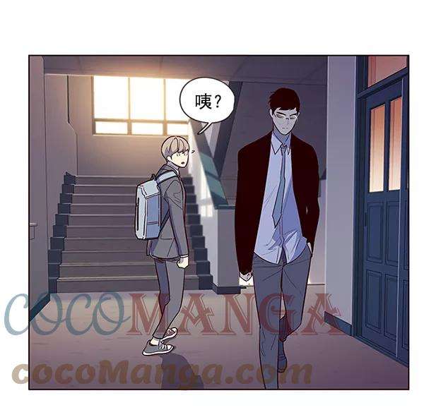 觉醒吧，铲屎官！7话