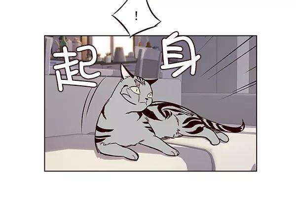 觉醒吧，铲屎官！7话