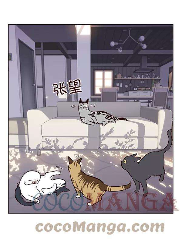 觉醒吧，铲屎官！7话