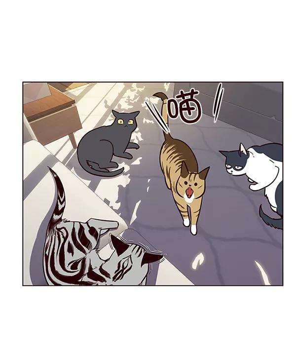 觉醒吧，铲屎官！7话