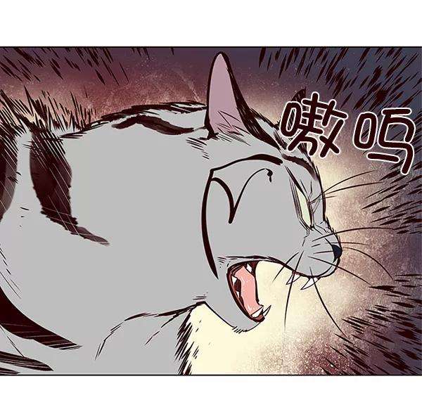 觉醒吧，铲屎官！7话