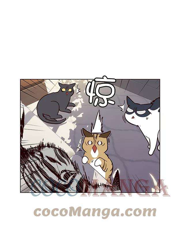 觉醒吧，铲屎官！7话