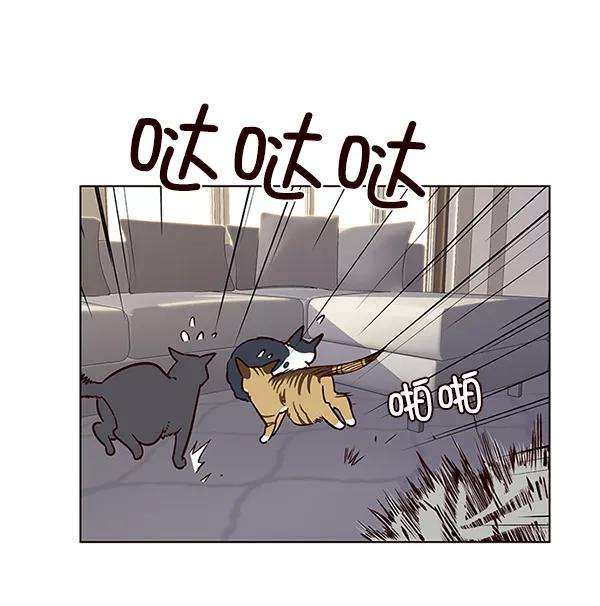 觉醒吧，铲屎官！7话