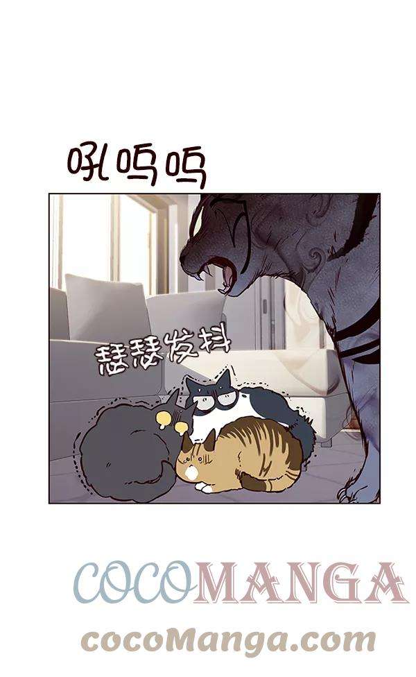 觉醒吧，铲屎官！7话