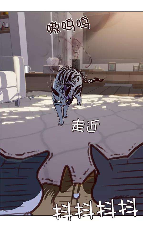 觉醒吧，铲屎官！7话