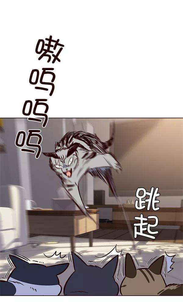 觉醒吧，铲屎官！7话