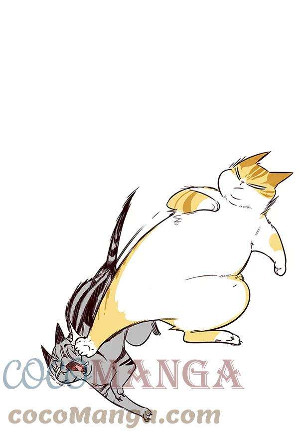 觉醒吧，铲屎官！7话