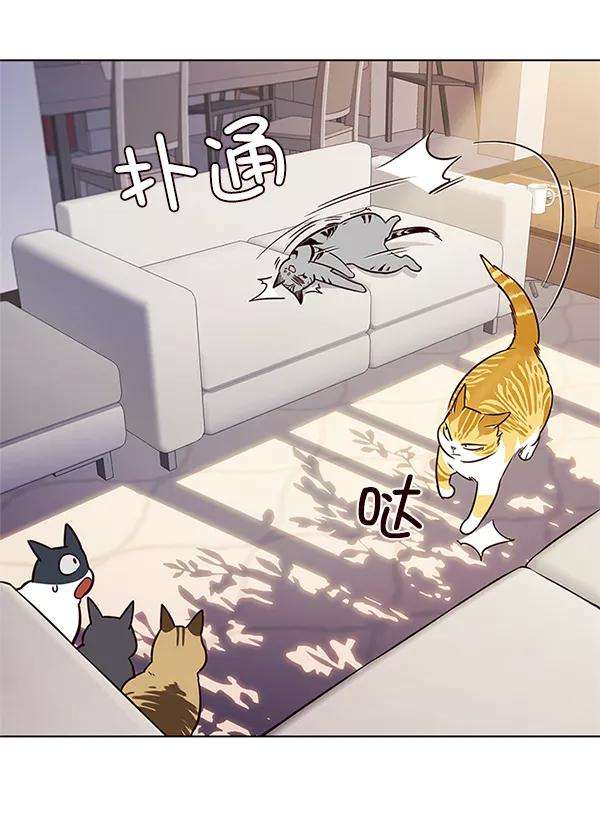 觉醒吧，铲屎官！7话