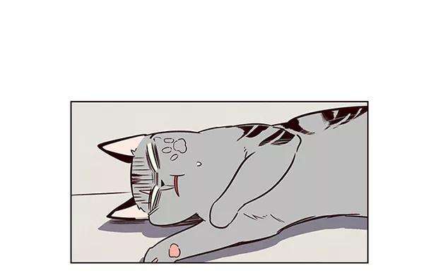 觉醒吧，铲屎官！7话