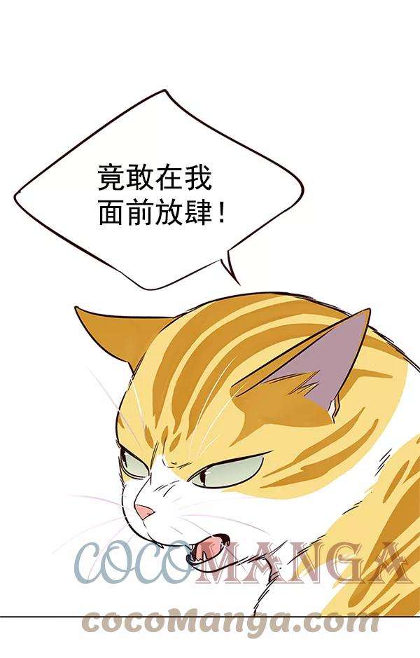 觉醒吧，铲屎官！7话