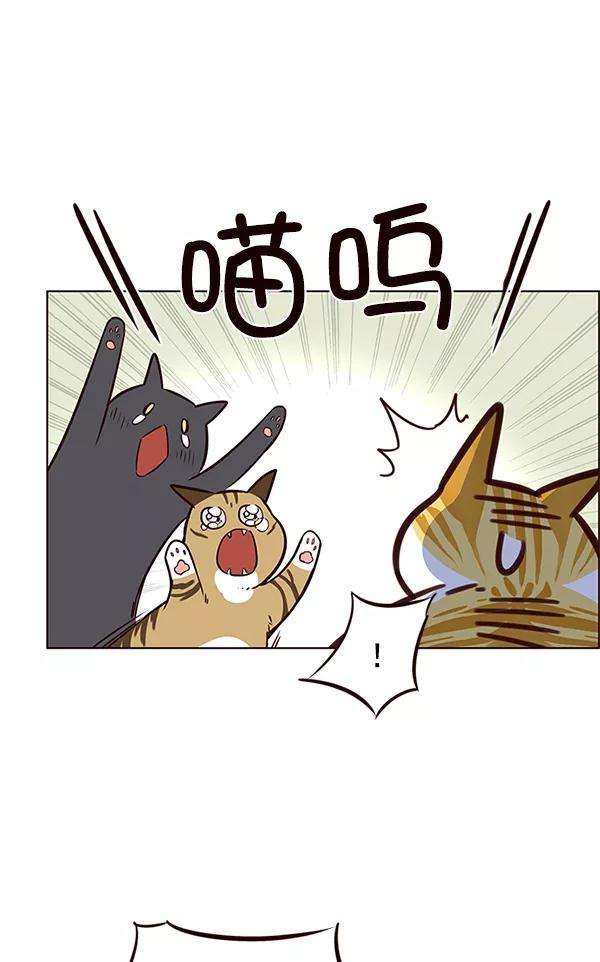 觉醒吧，铲屎官！7话