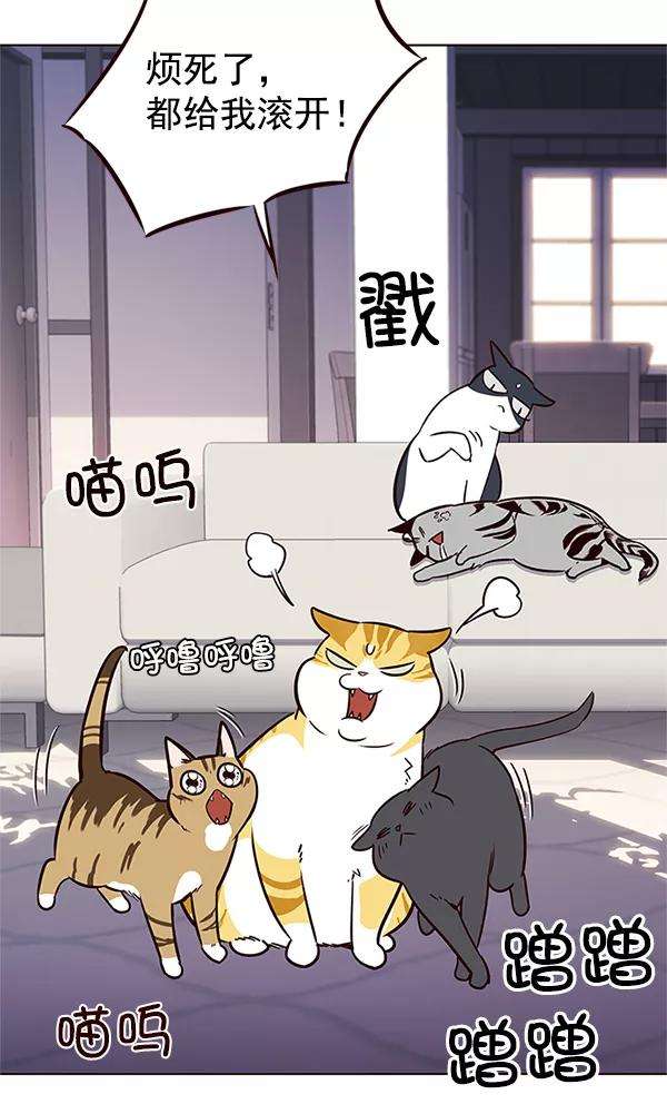 觉醒吧，铲屎官！7话