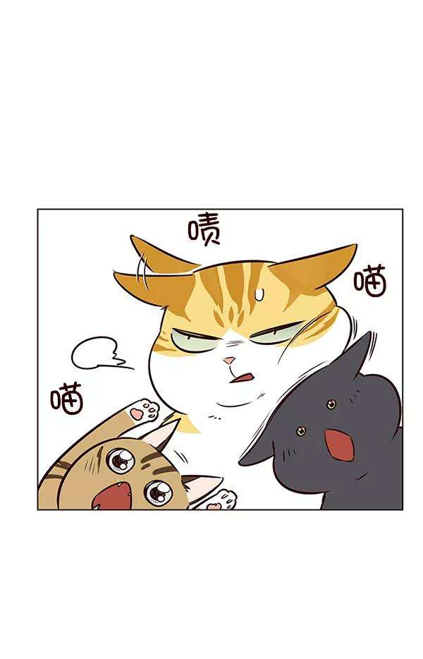 觉醒吧，铲屎官！7话