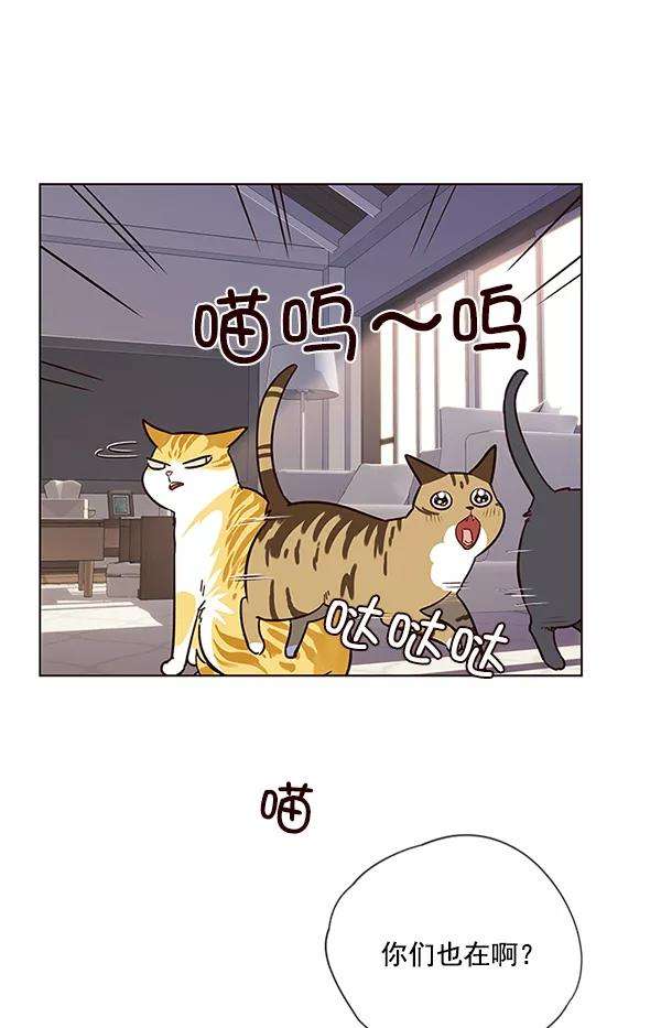 觉醒吧，铲屎官！7话