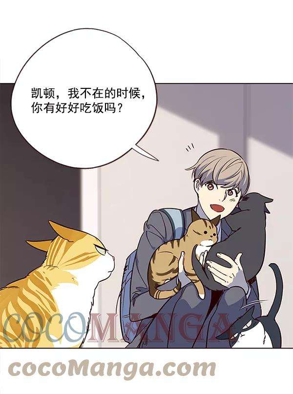 觉醒吧，铲屎官！7话