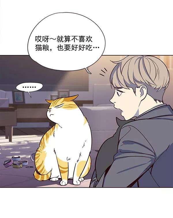 觉醒吧，铲屎官！7话