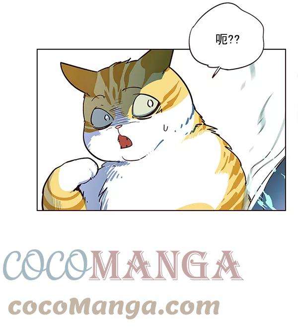 觉醒吧，铲屎官！8话