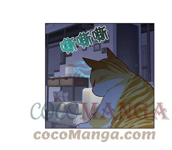 觉醒吧，铲屎官！8话