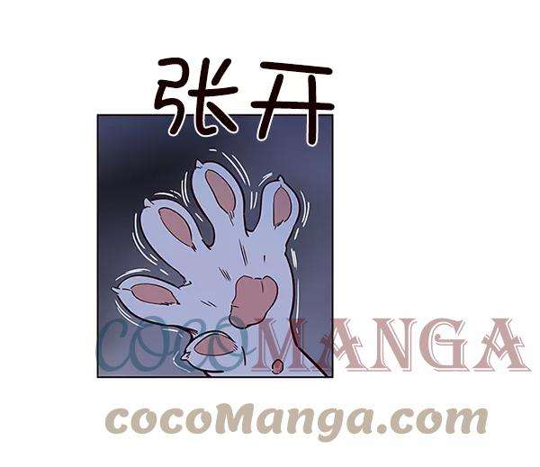 觉醒吧，铲屎官！8话