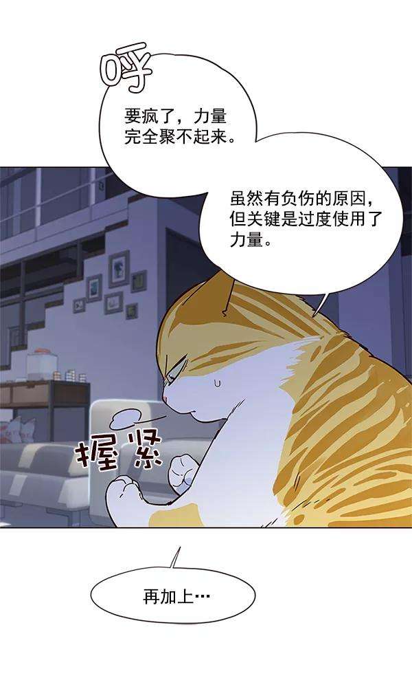 觉醒吧，铲屎官！8话