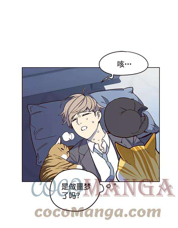 觉醒吧，铲屎官！8话