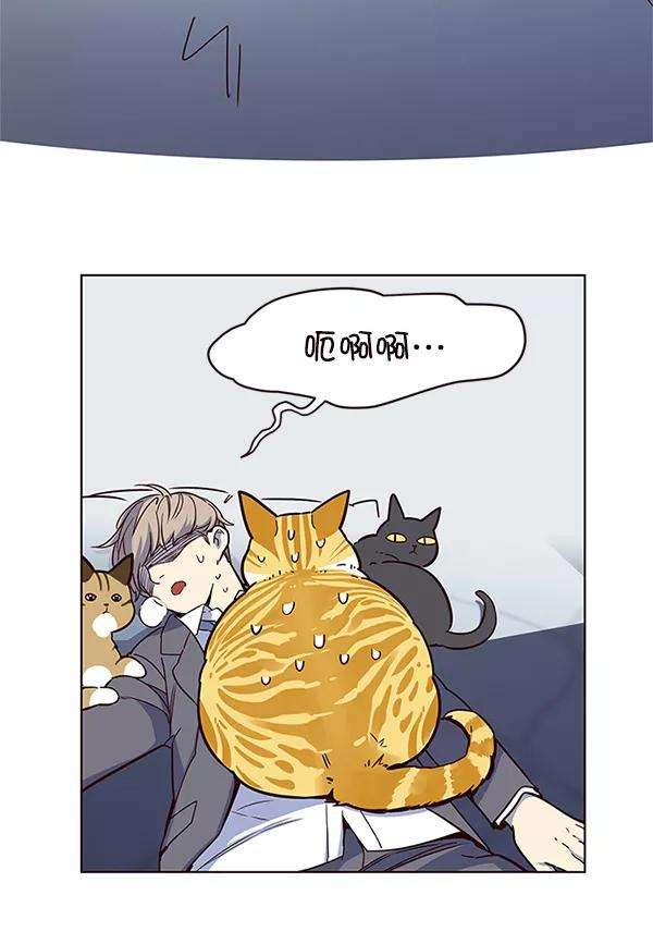 觉醒吧，铲屎官！8话