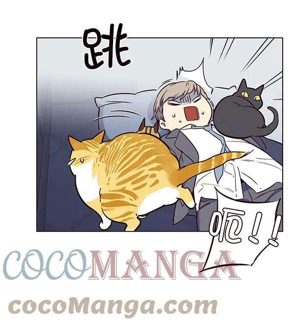 觉醒吧，铲屎官！8话