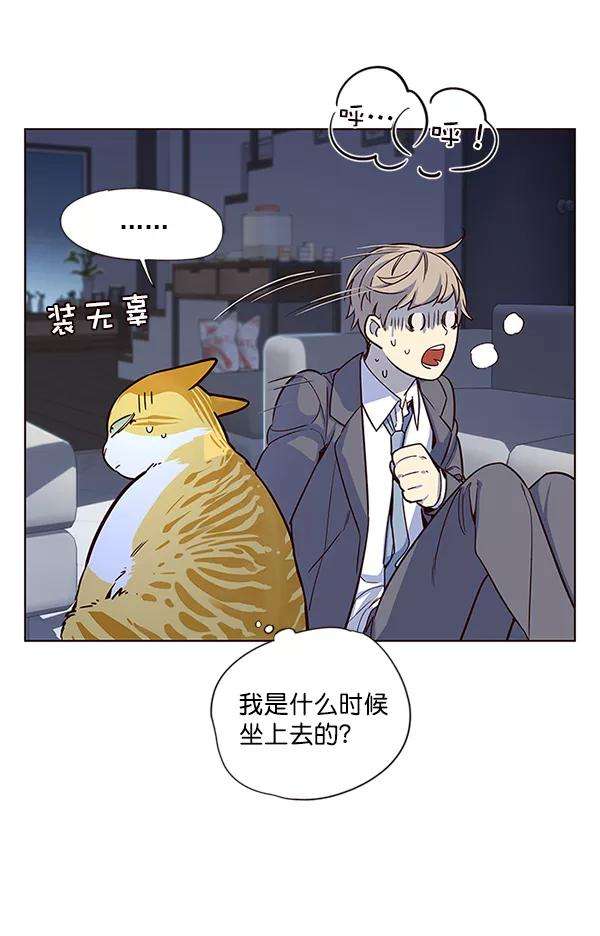 觉醒吧，铲屎官！8话
