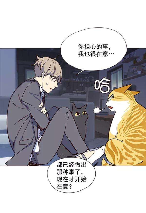 觉醒吧，铲屎官！8话