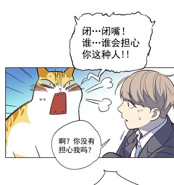 觉醒吧，铲屎官！8话