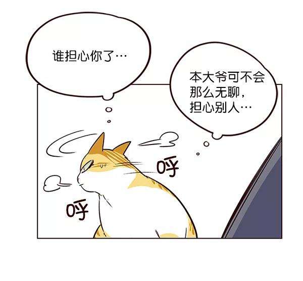 觉醒吧，铲屎官！8话