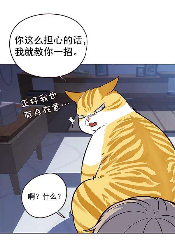 觉醒吧，铲屎官！8话