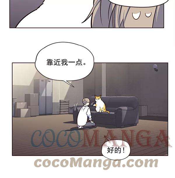 觉醒吧，铲屎官！8话