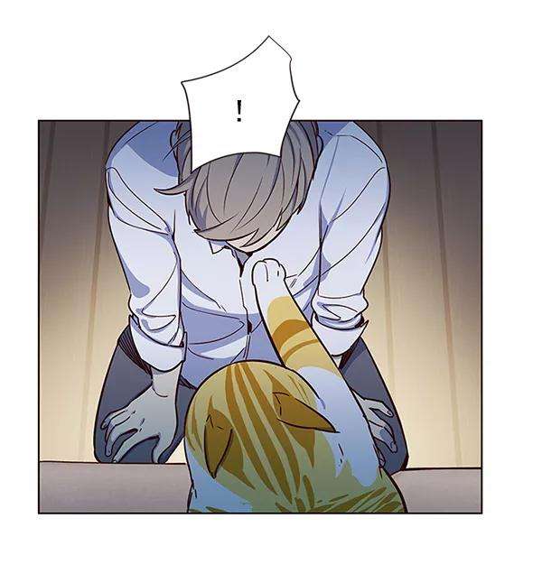 觉醒吧，铲屎官！8话