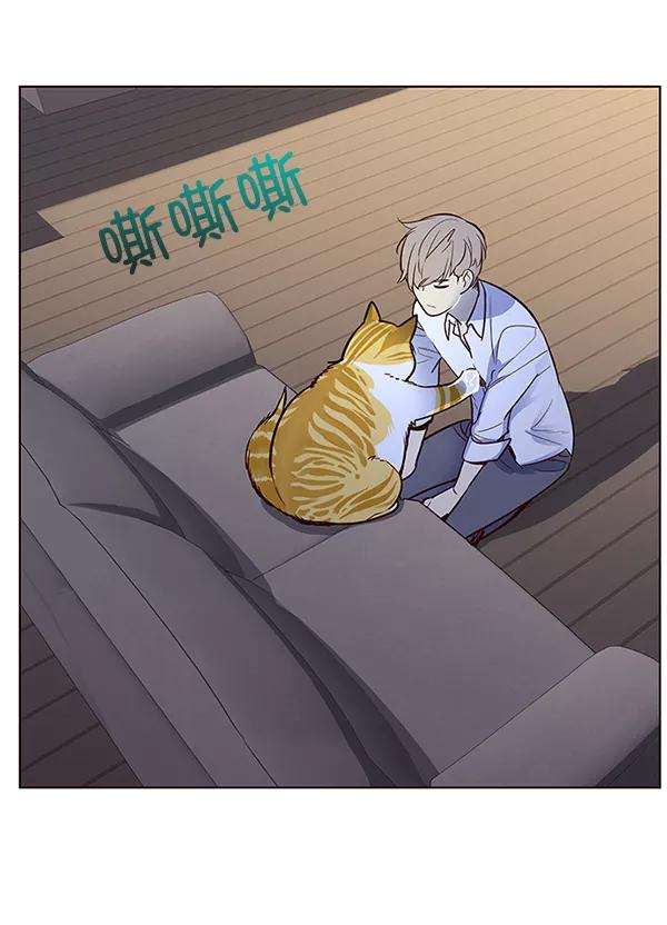 觉醒吧，铲屎官！8话