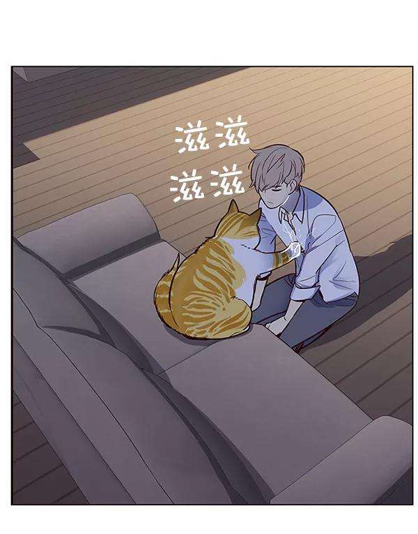 觉醒吧，铲屎官！8话