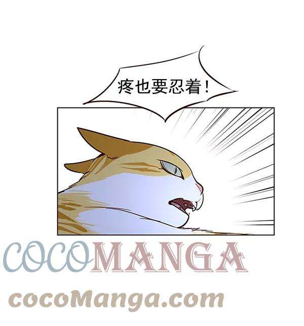 觉醒吧，铲屎官！8话