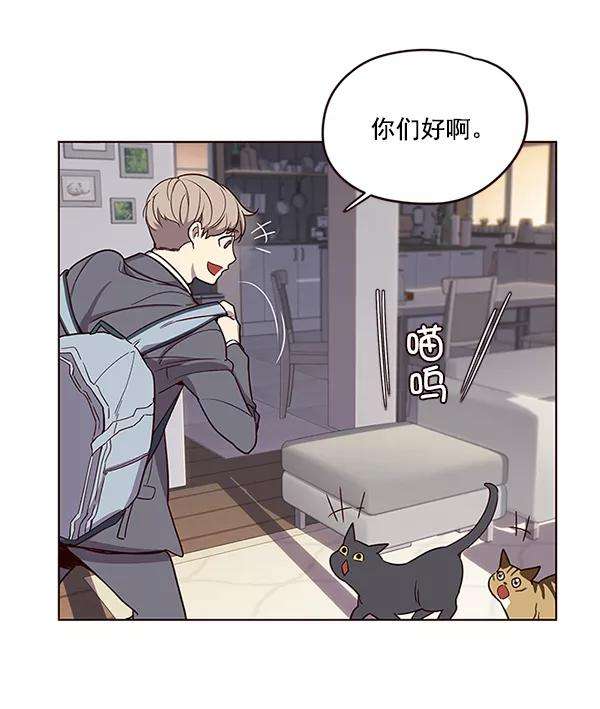 觉醒吧，铲屎官！9话