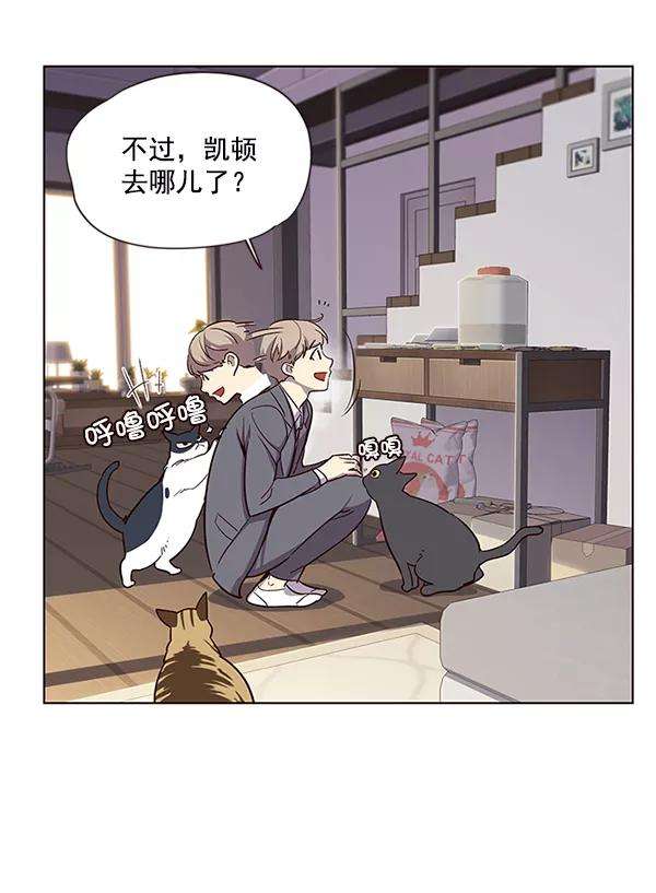 觉醒吧，铲屎官！9话