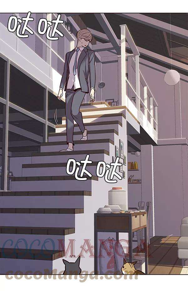 觉醒吧，铲屎官！9话