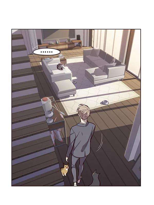 觉醒吧，铲屎官！9话